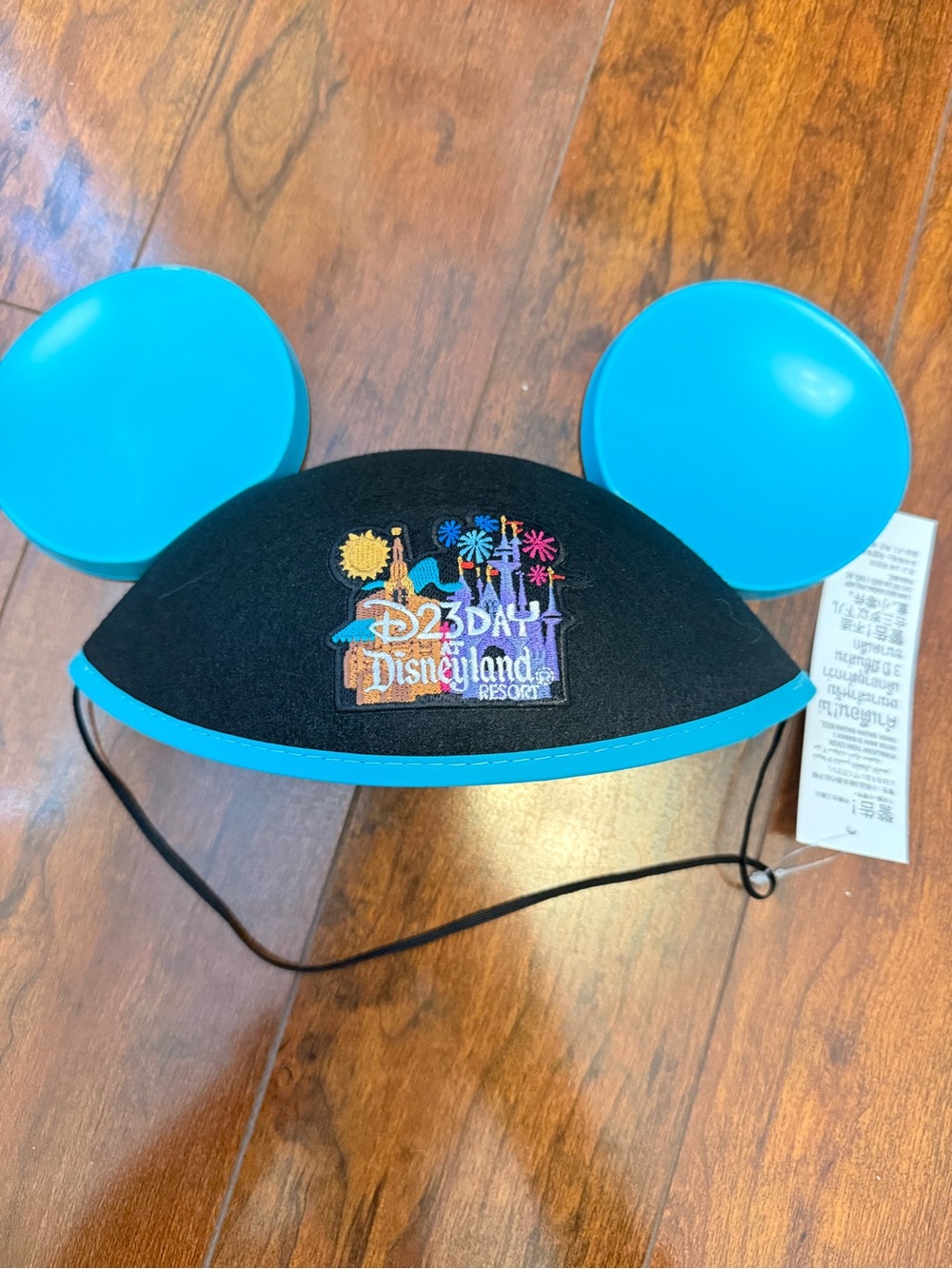 Disneyland D23 Day Mickey Ears